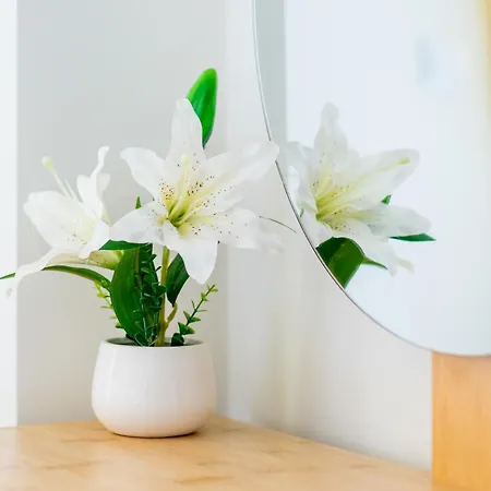 Windrose - Shared Pool *